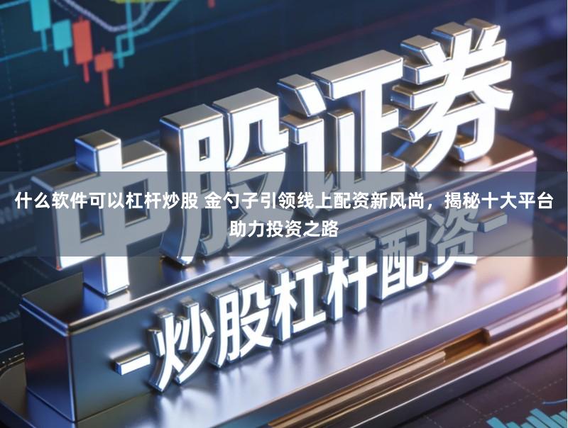 什么软件可以杠杆炒股 金勺子引领线上配资新风尚，揭秘十大平台助力投资之路