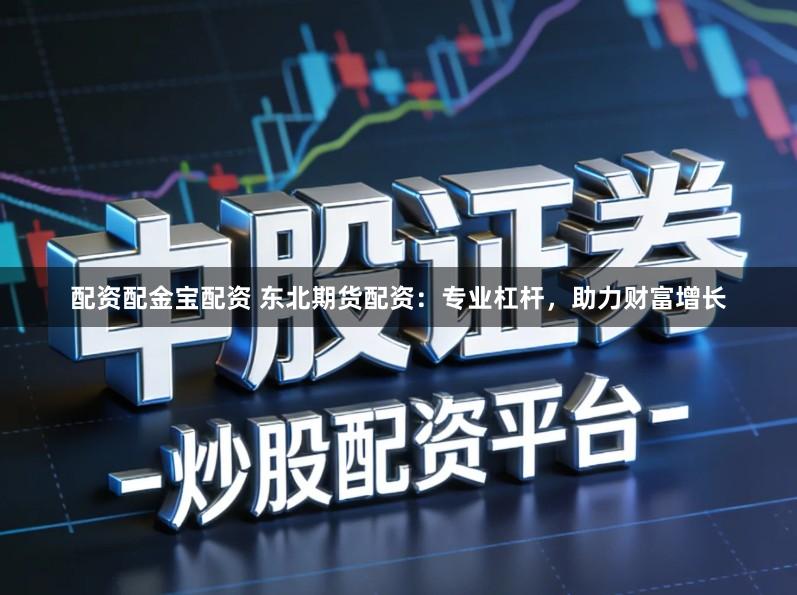 配资配金宝配资 东北期货配资：专业杠杆，助力财富增长
