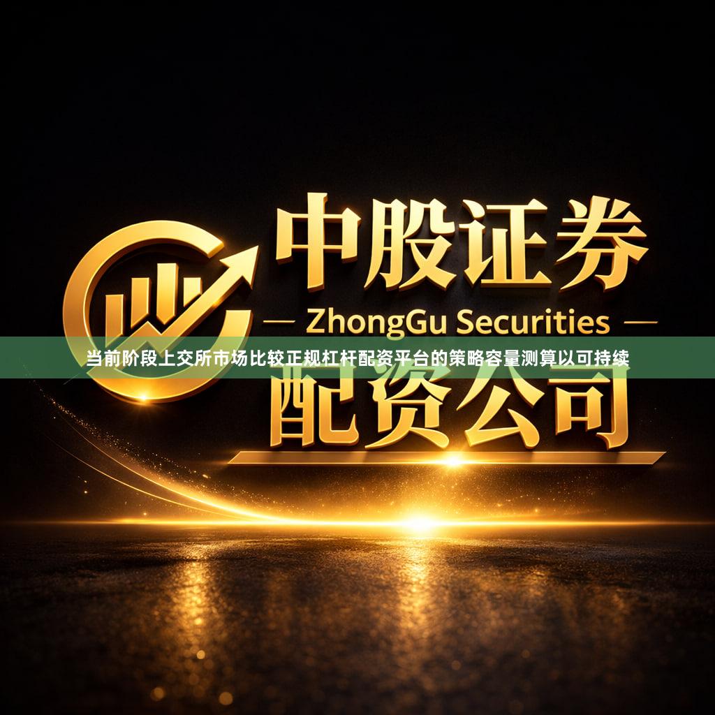 当前阶段上交所市场比较正规杠杆配资平台的策略容量测算以可持续