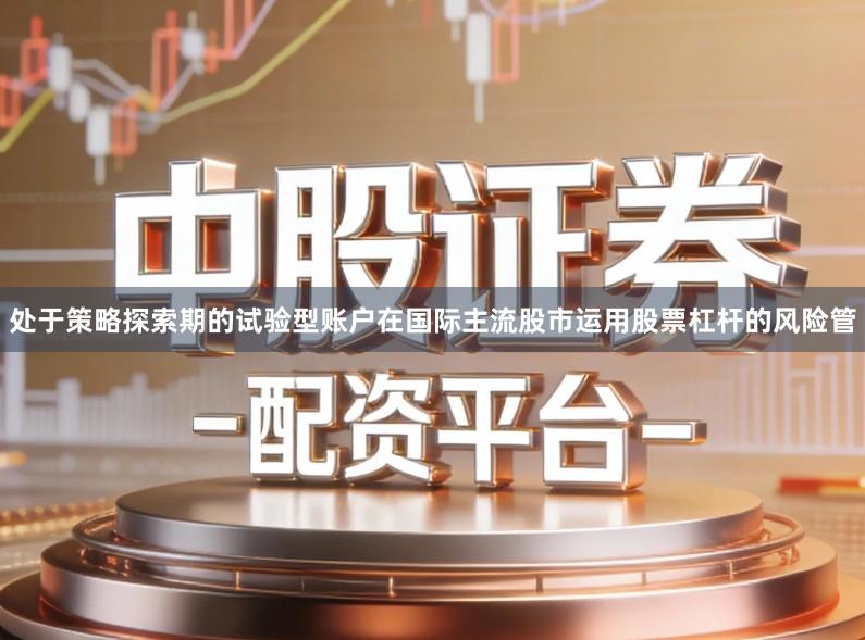 处于策略探索期的试验型账户在国际主流股市运用股票杠杆的风险管