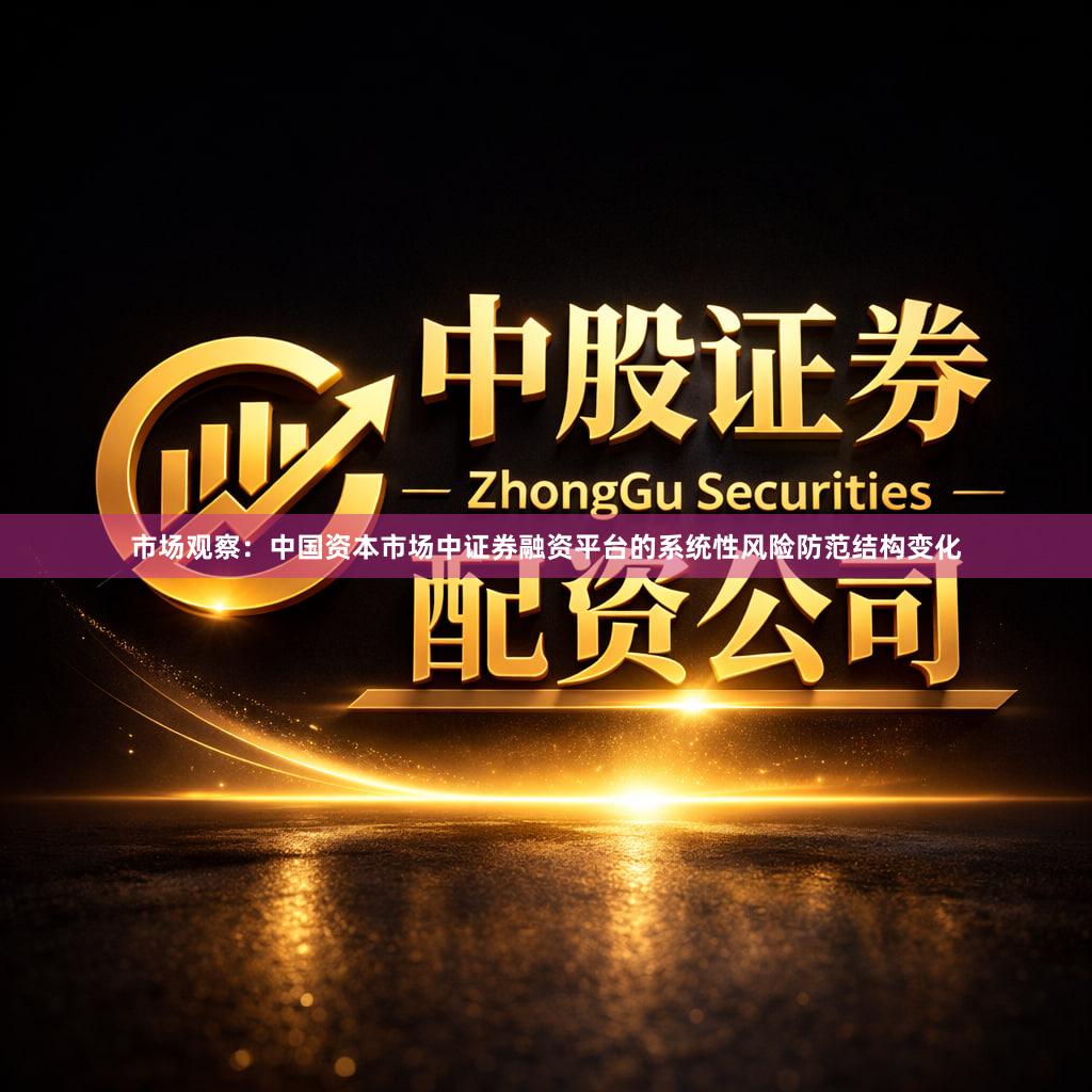 市场观察：中国资本市场中证券融资平台的系统性风险防范结构变化