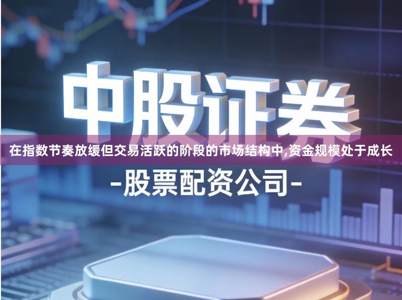 在指数节奏放缓但交易活跃的阶段的市场结构中,资金规模处于成长